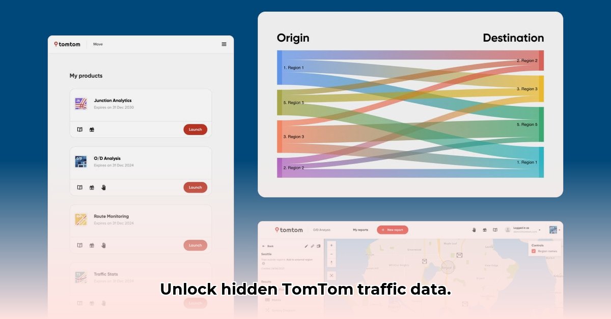 tomtom-data